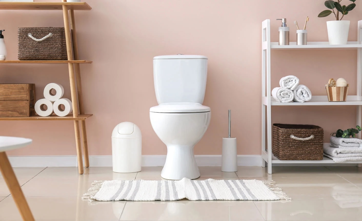 4 способа поддерживать чистоту унитаза